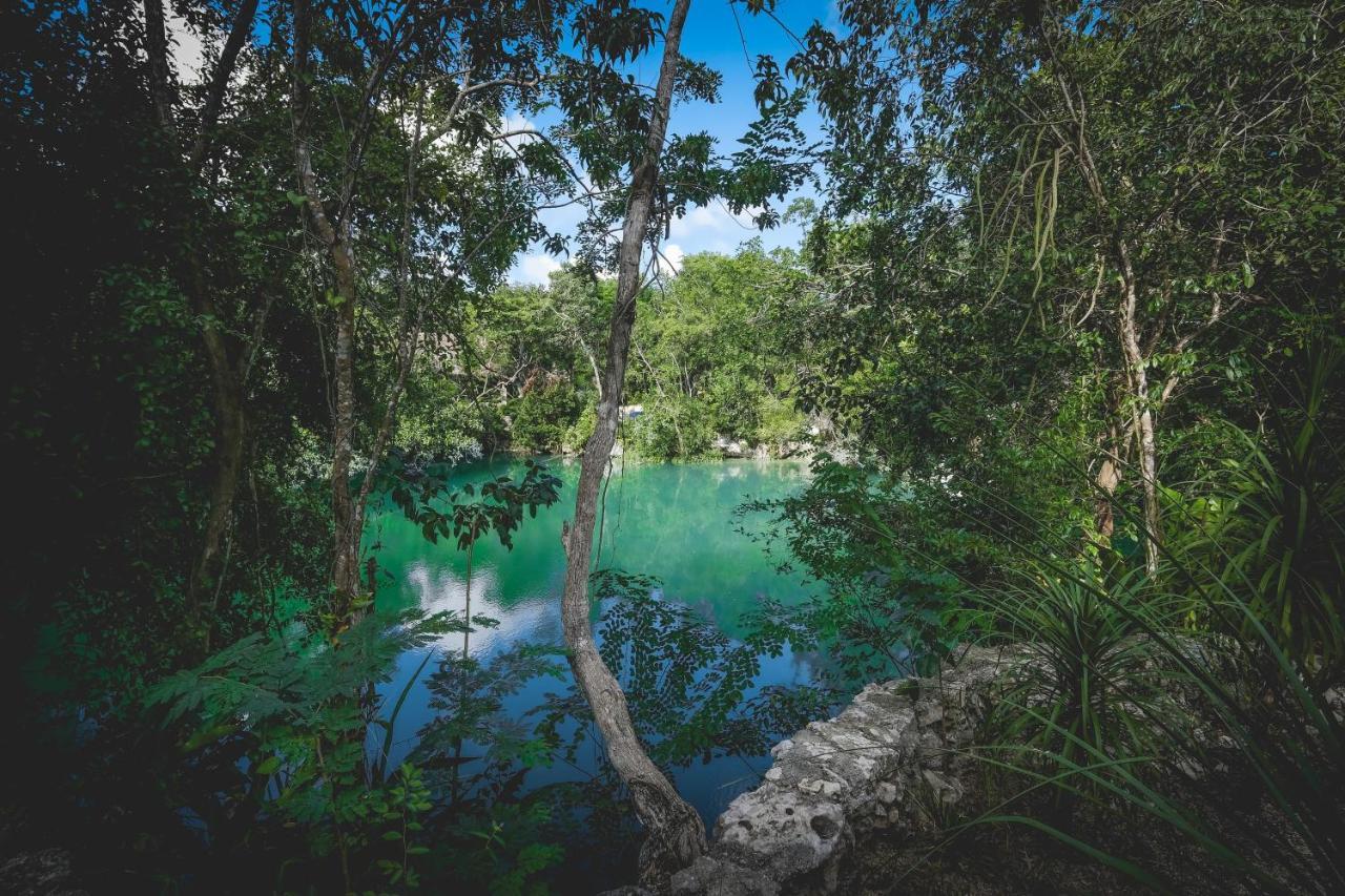 Wakax Hacienda - Cenote & Boutique Hotel Tulum Pueblo Buitenkant foto